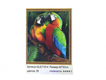 Алмазная мозаика арт. GLE71614 Два попугая 40*50 полная выкладка на подрамнике