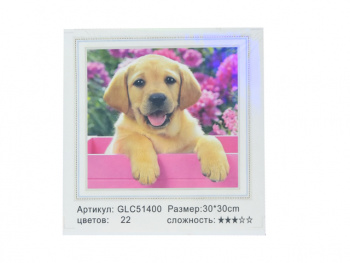 Алмазная мозаика арт.GLC51400 Щенок в розовом ящике  30*30 полная выкладка на подрамнике.