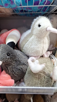 им Птица арт. 209259 Киви ??? см цвета микс в пак.