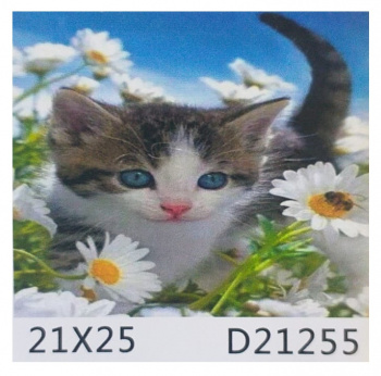 Алмазная мозаика арт. D21255 Котенок в ромашках 21*25 не полная выкладка на картоне