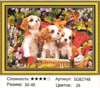 Алмазная мозаика арт. SGB2748 Щенки в корзине 30*40 полная выкладка на подрамнике Алмазная мозаика арт. SGB2748 Щенки в корзине 30*40 полная выкладка на подрамнике