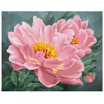 Картина арт. 23551GX по № 40*50см Пионы Картина арт. 23551GX по № 40*50см Пионы