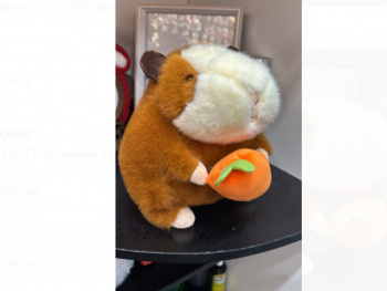 им Хомяк арт. 405-209 С морковкой 26 см в пак. им Хомяк арт. 405-209 С морковкой 26 см в пак.