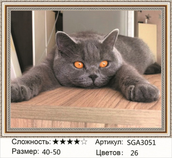 Алмазная мозаика арт. SGA3051 Желтоглазый кот 40*50 полная выкладка на подрамнике Алмазная мозаика арт. SGA3051 Желтоглазый кот 40*50 полная выкладка на подрамнике