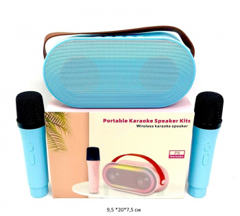 Колонка музыкальная арт. P6 С микрофоном в кор._