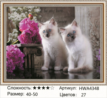 Алмазная мозаика арт. HWA4348 Котята 40*50 полная выкладка на подрамнике Алмазная мозаика арт. HWA4348 Котята 40*50 полная выкладка на подрамнике