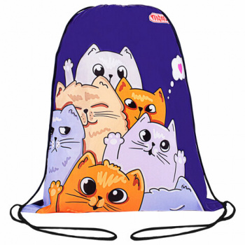 Мешок для обуви ПИФАГОР, 1 отделение, 42х34 см, "Cats greetings", 272382 Мешок для обуви ПИФАГОР, 1 отделение, 42х34 см, "Cats greetings", 272382