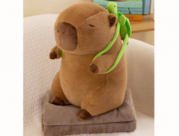 им Капибара арт. 516612/240718-14 С рюкзаком-черепашкой с пледом в пак.)